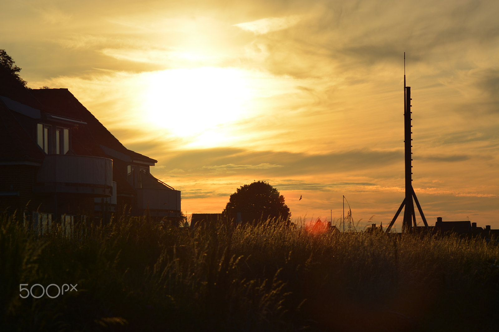 Nikon AF Nikkor 70-300mm F4-5.6G sample photo. Summer photography