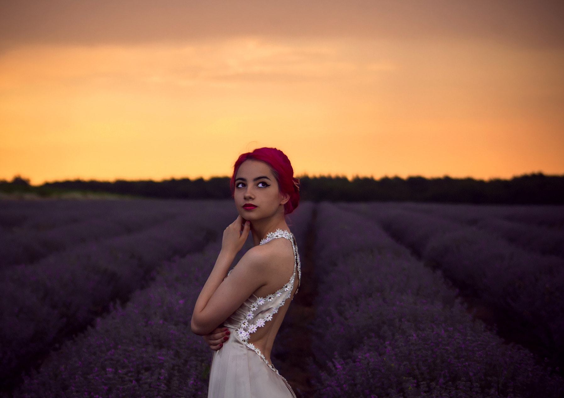 Nikon D50 sample photo. Lavender  photography