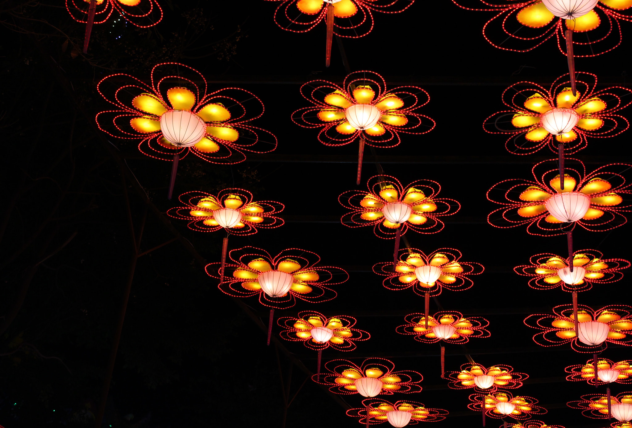 Canon EF-S 18-55mm F3.5-5.6 IS II sample photo. Lantern festival in zigong, china photography