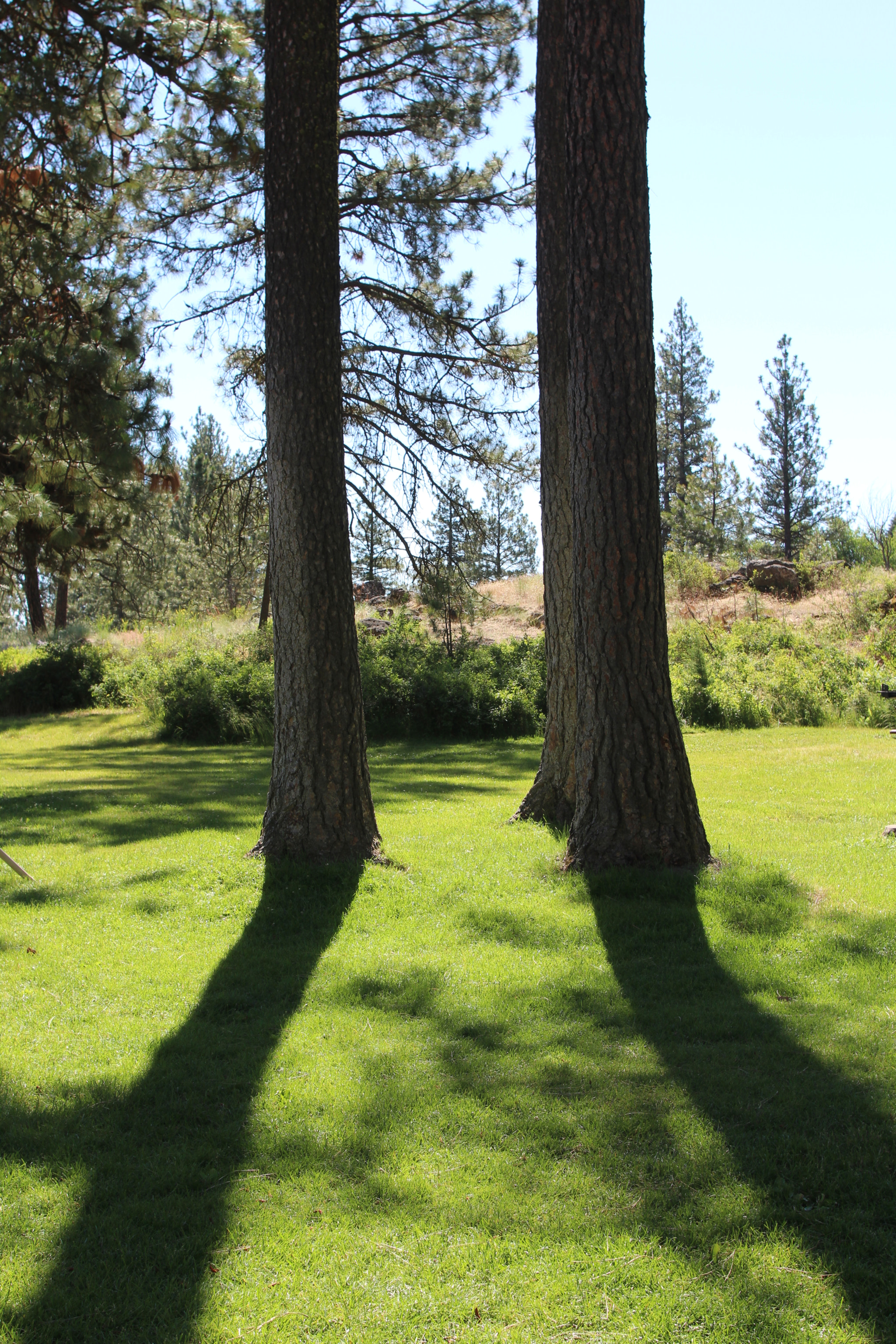 Canon EF 20-35mm f/2.8L sample photo. Morning shades photography