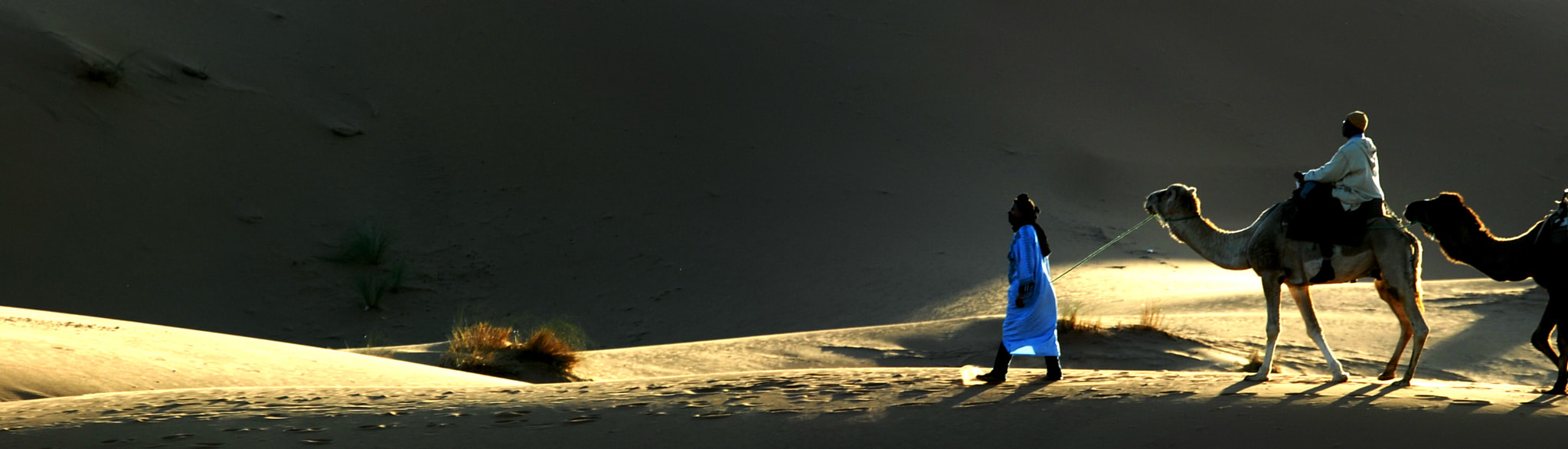 Sigma 70-200mm F2.8 EX DG OS HSM sample photo. Camels in the desert (marokko) photography