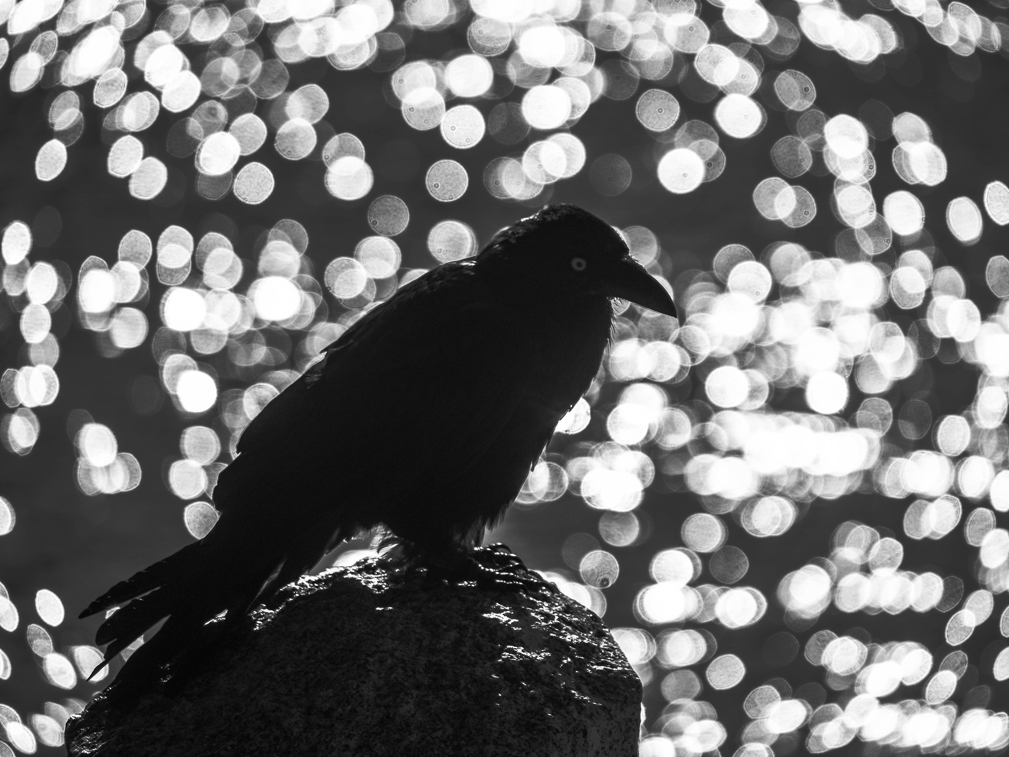 Panasonic Lumix G Vario 45-200mm F4-5.6 OIS sample photo. Thinking of you photography