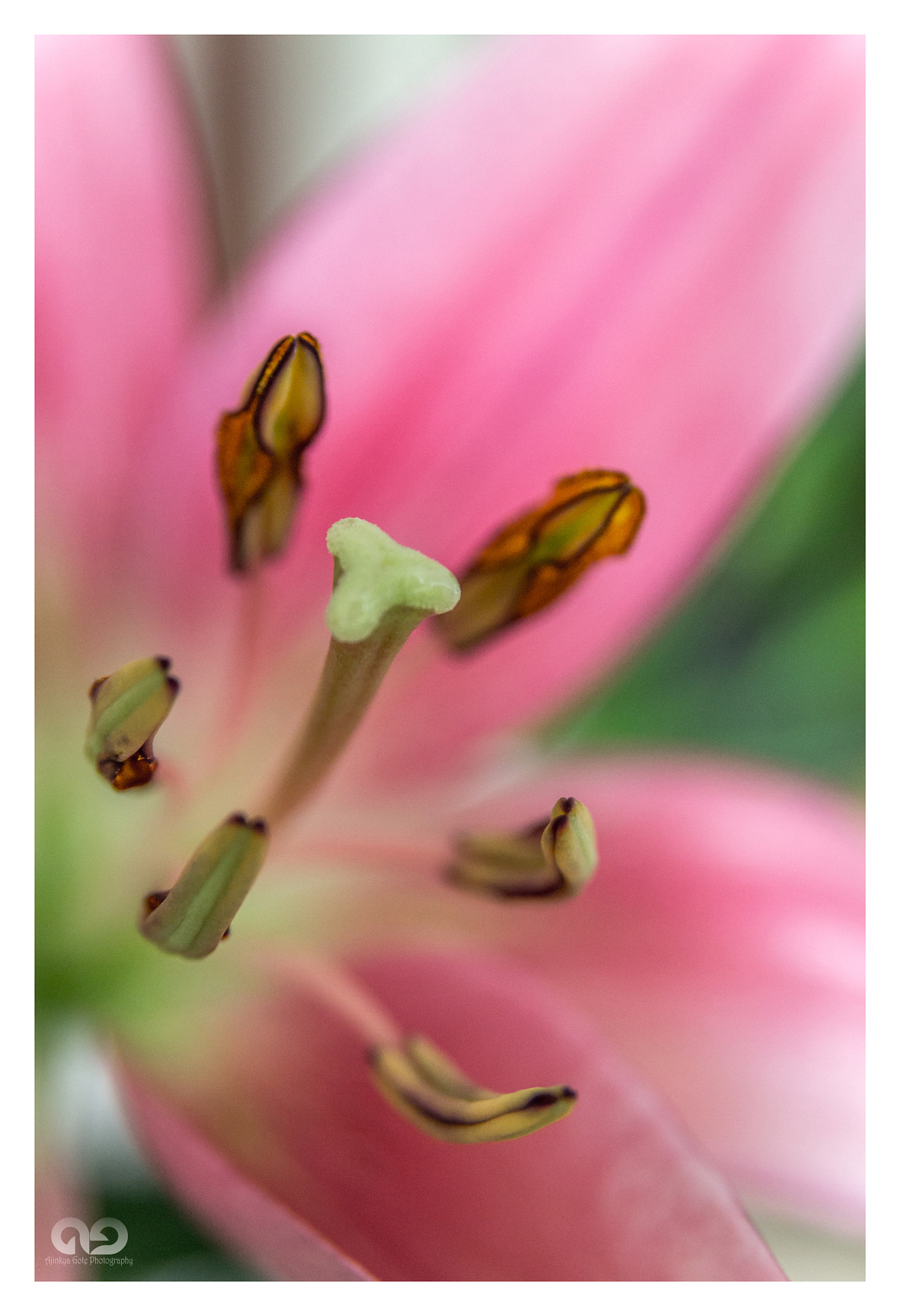 Sigma 17-70mm F2.8-4 DC Macro OS HSM sample photo. Morning miracles (2/2) photography
