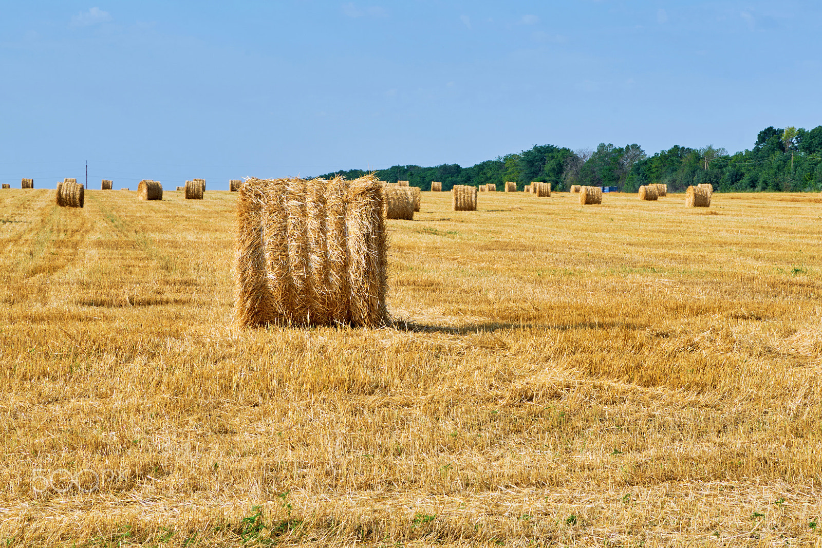 Sony 70-400mm F4-5.6 G SSM II sample photo. Harvested field with wheat photography