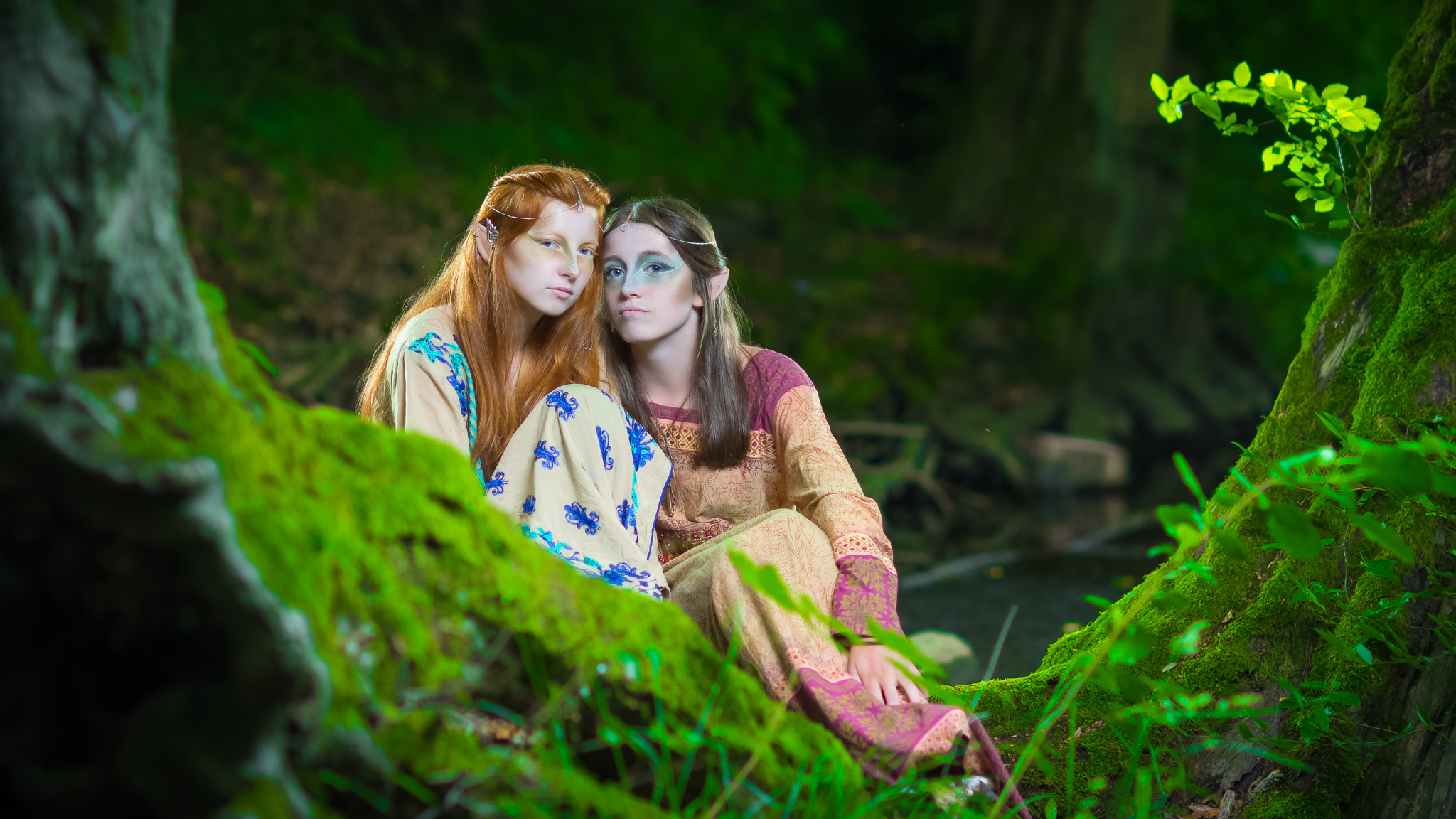 Sony Planar T* 85mm F1.4 ZA sample photo. In the forest photography