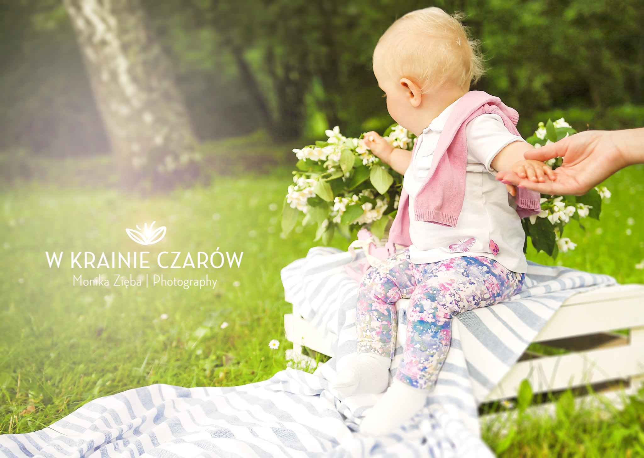 Pentax K200D + Sigma 18-35mm F1.8 DC HSM Art sample photo. Wonderland photography