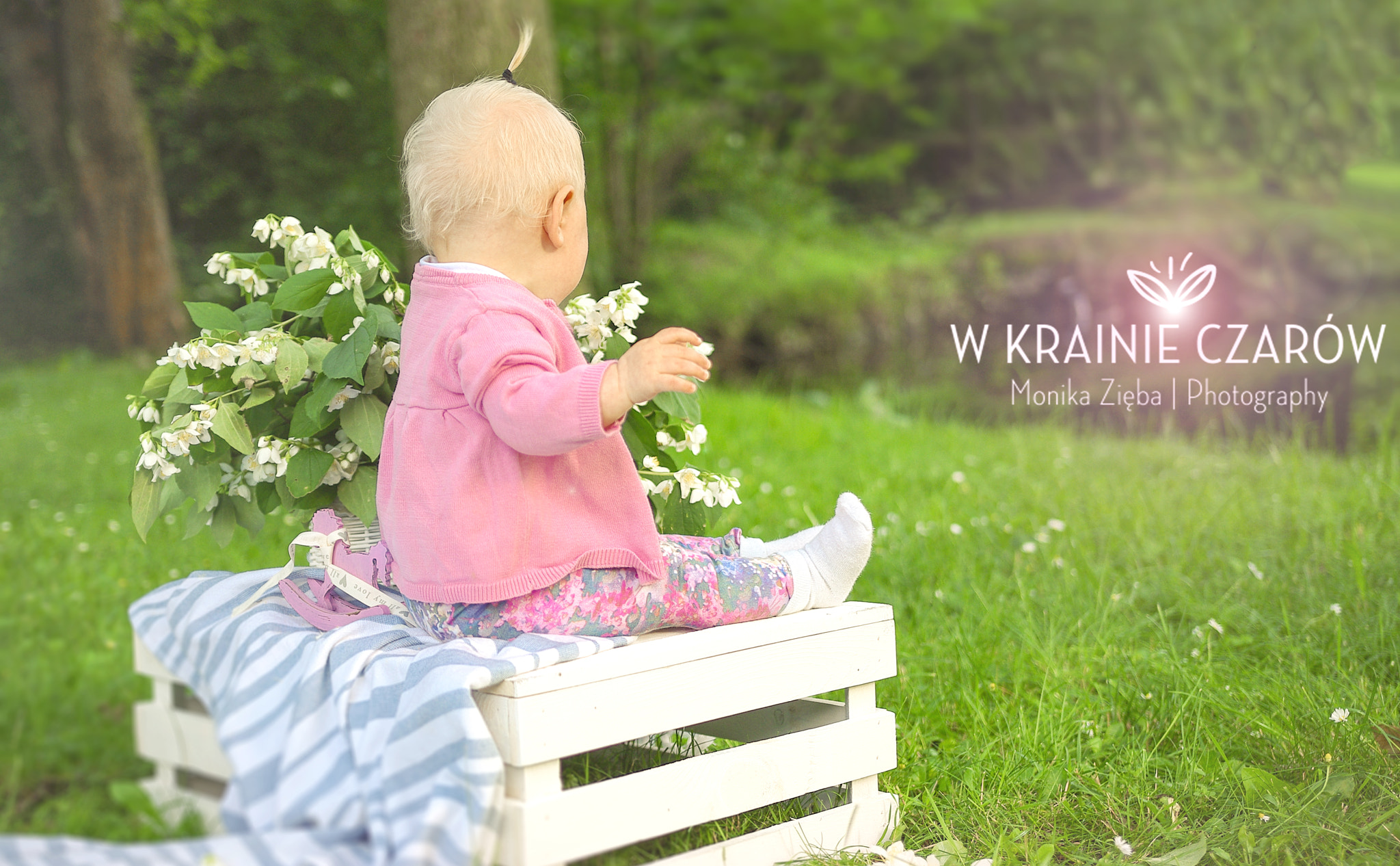 Pentax K200D + Sigma 18-35mm F1.8 DC HSM Art sample photo. Wonderland photography