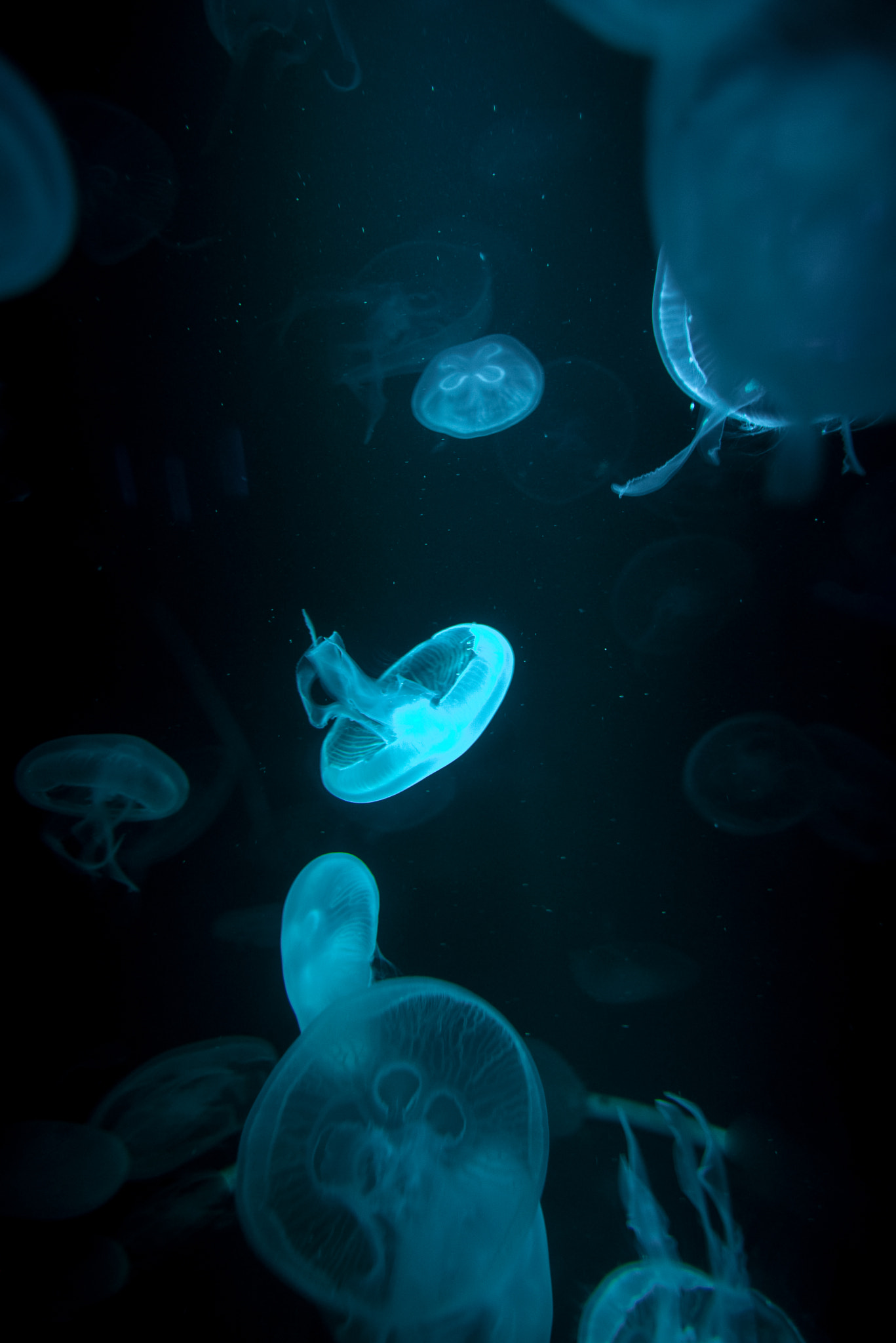 Nikon D600 + Nikon AF Nikkor 20mm F2.8D sample photo. Spaceship photography