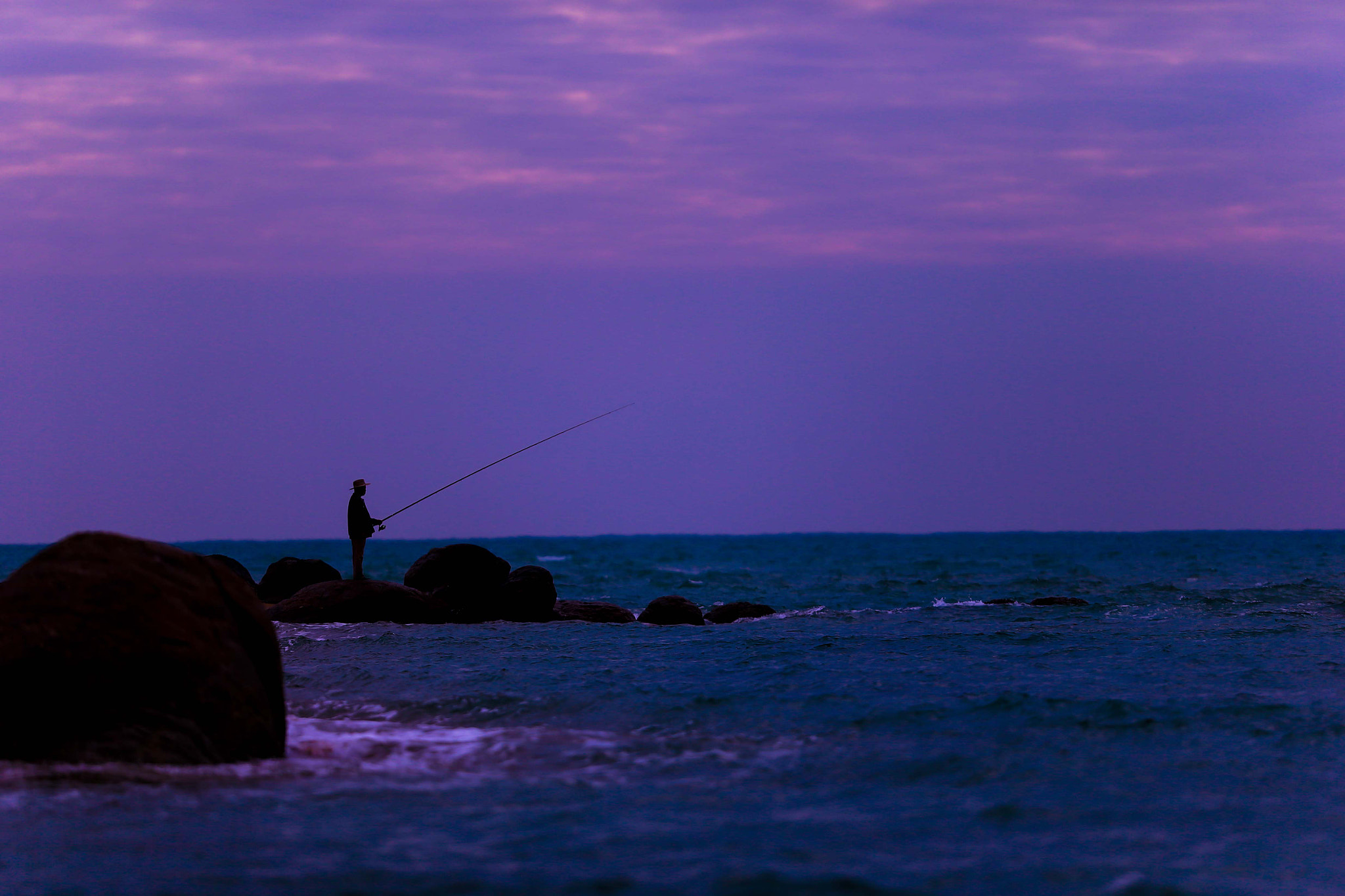 Canon EOS-1D X + Canon EF 200mm F2L IS USM sample photo