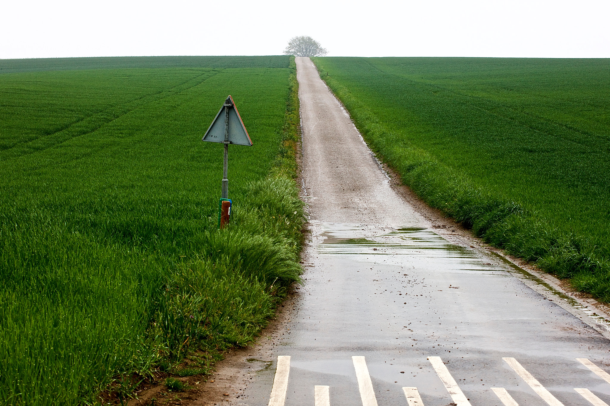 Canon EOS-1Ds Mark III sample photo. Raining day. photography
