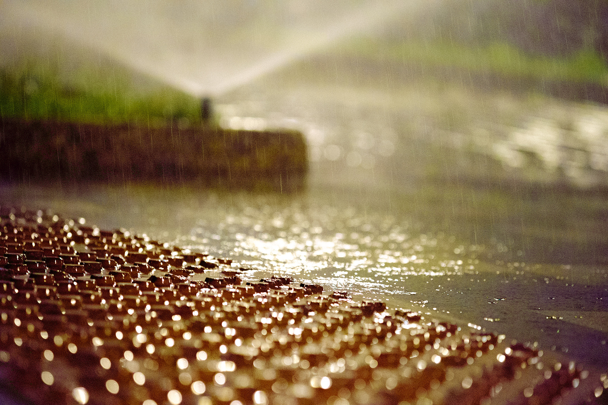 Fujifilm X-Pro1 + Fujifilm XF 60mm F2.4 R Macro sample photo. Edit copy photography