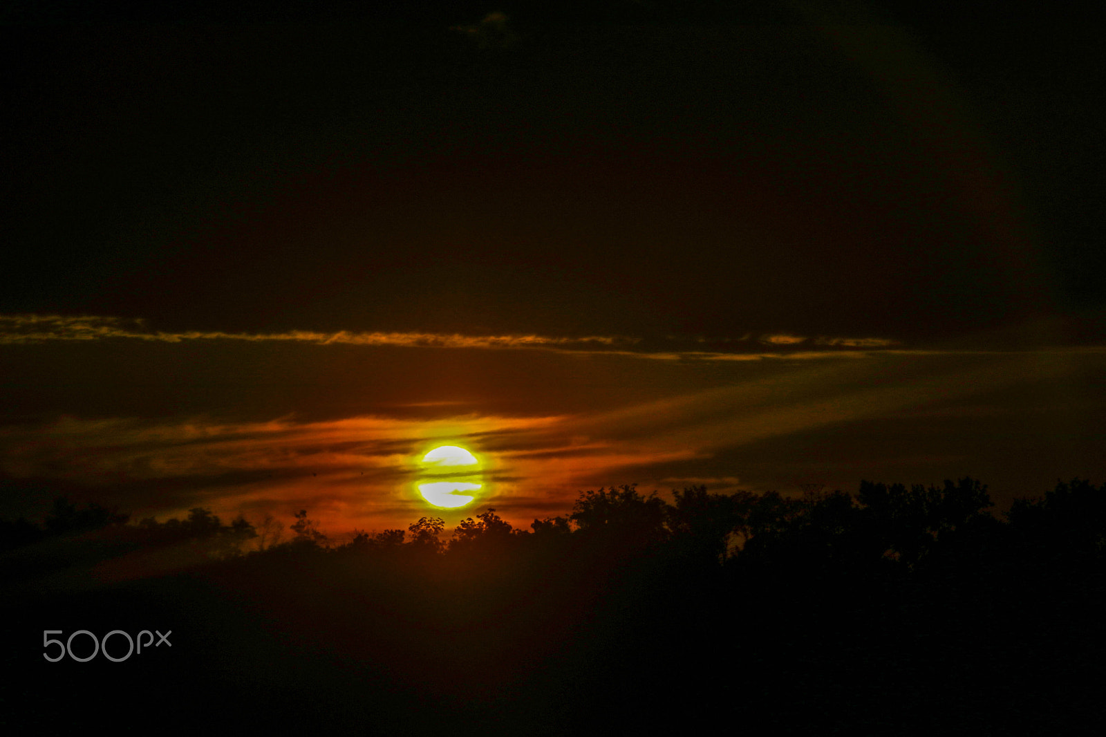 Canon EF 28-300mm F3.5-5.6L IS USM sample photo. Sun panting photography