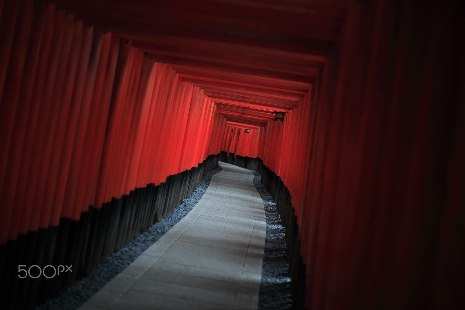 ZEISS Planar T* 50mm F1.4 sample photo. Silence photography