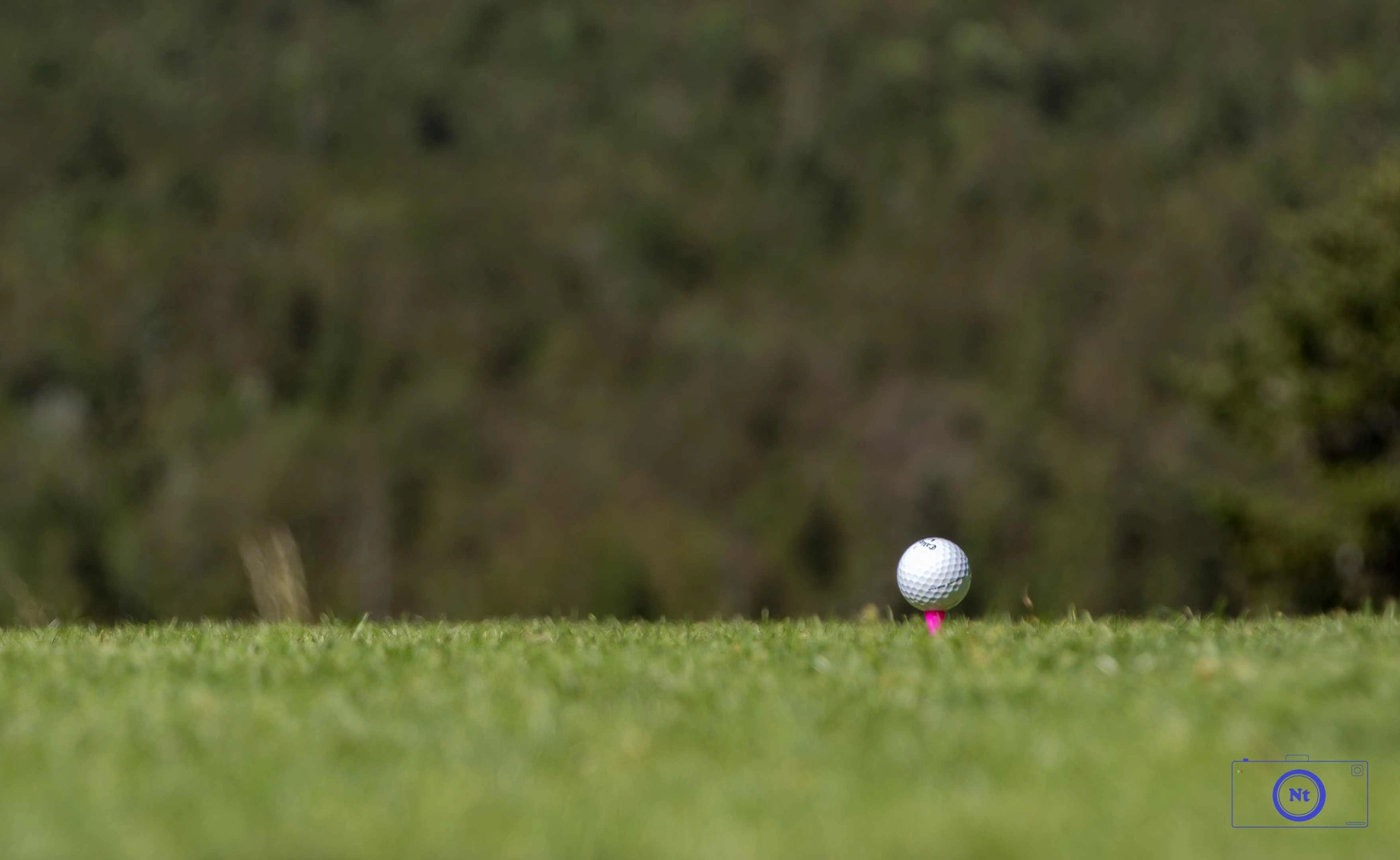 BMW GOLF CUP, CORRENÇON