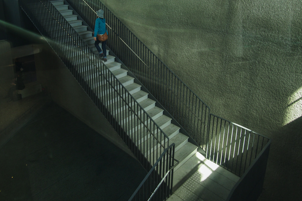 Olympus PEN E-P5 sample photo. It's to the top to the top. photography