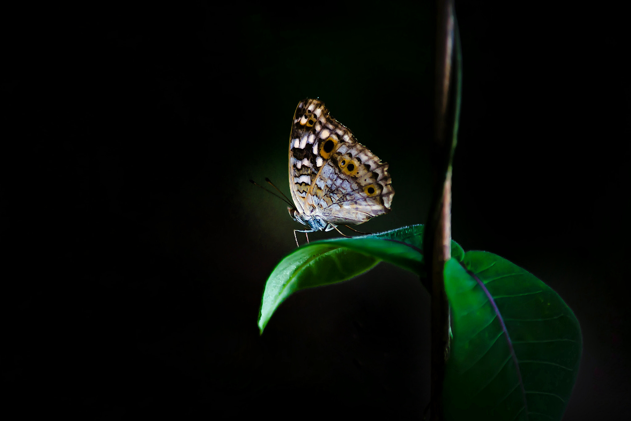 Canon EOS 5D sample photo