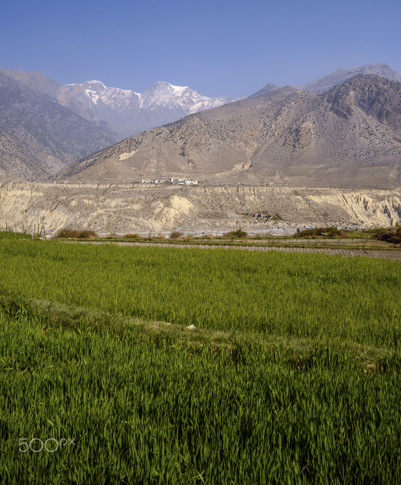 Sigma 12-24mm F4.5-5.6 EX DG Aspherical HSM sample photo. Vertical landscape photography