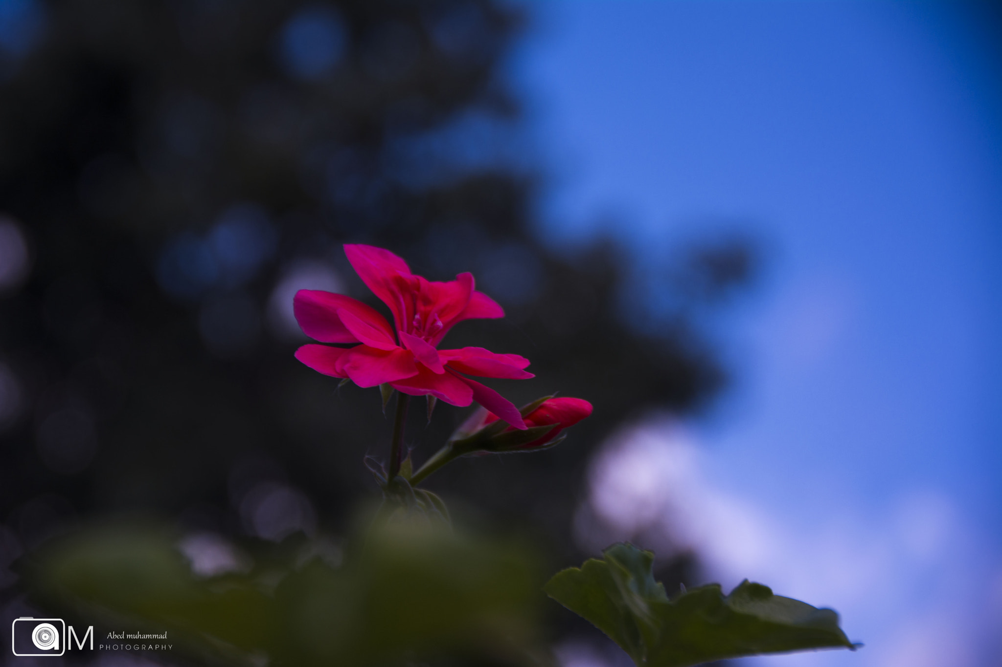 Sigma 18-200mm F3.5-6.3 II DC OS HSM sample photo. Dsc_0027.jpg photography