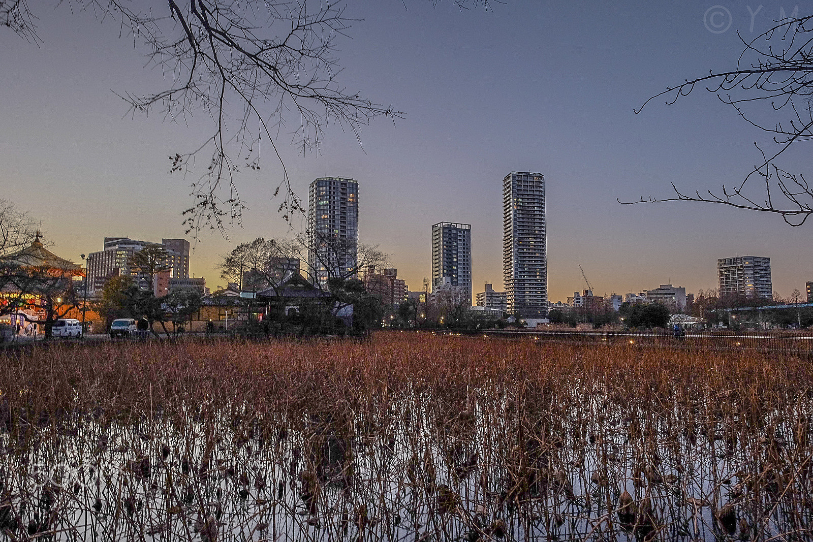 Fujifilm X-M1 + Fujifilm XF 14mm F2.8 R sample photo. Ueno park photography