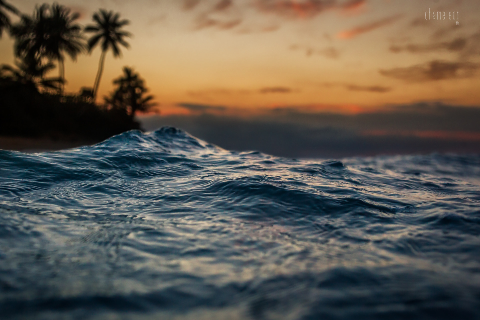 Canon EOS-1D Mark IV sample photo. Sunset in the water photography