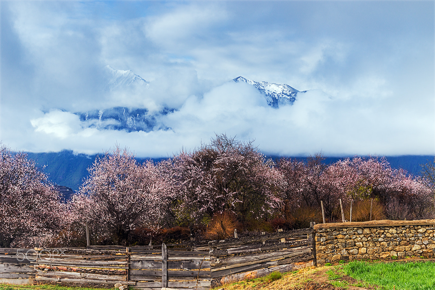 Sony a99 II + Minolta/Sony AF 70-200mm F2.8 G sample photo. Duoxiongla snow mountain photography