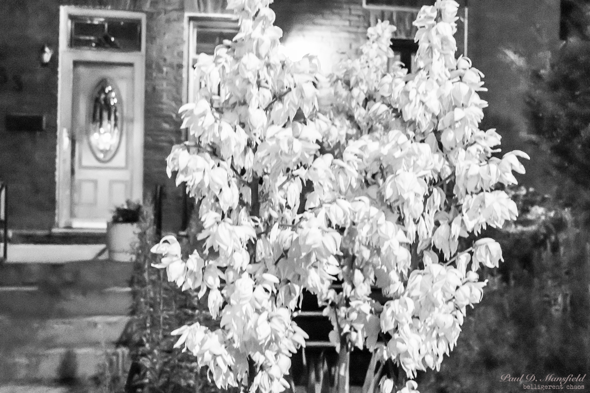Canon EOS 760D (EOS Rebel T6s / EOS 8000D) sample photo. 28002471412.jpg photography