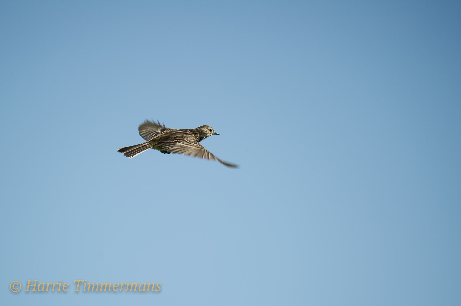 Nikon D3S sample photo. Hti_1629.jpg photography