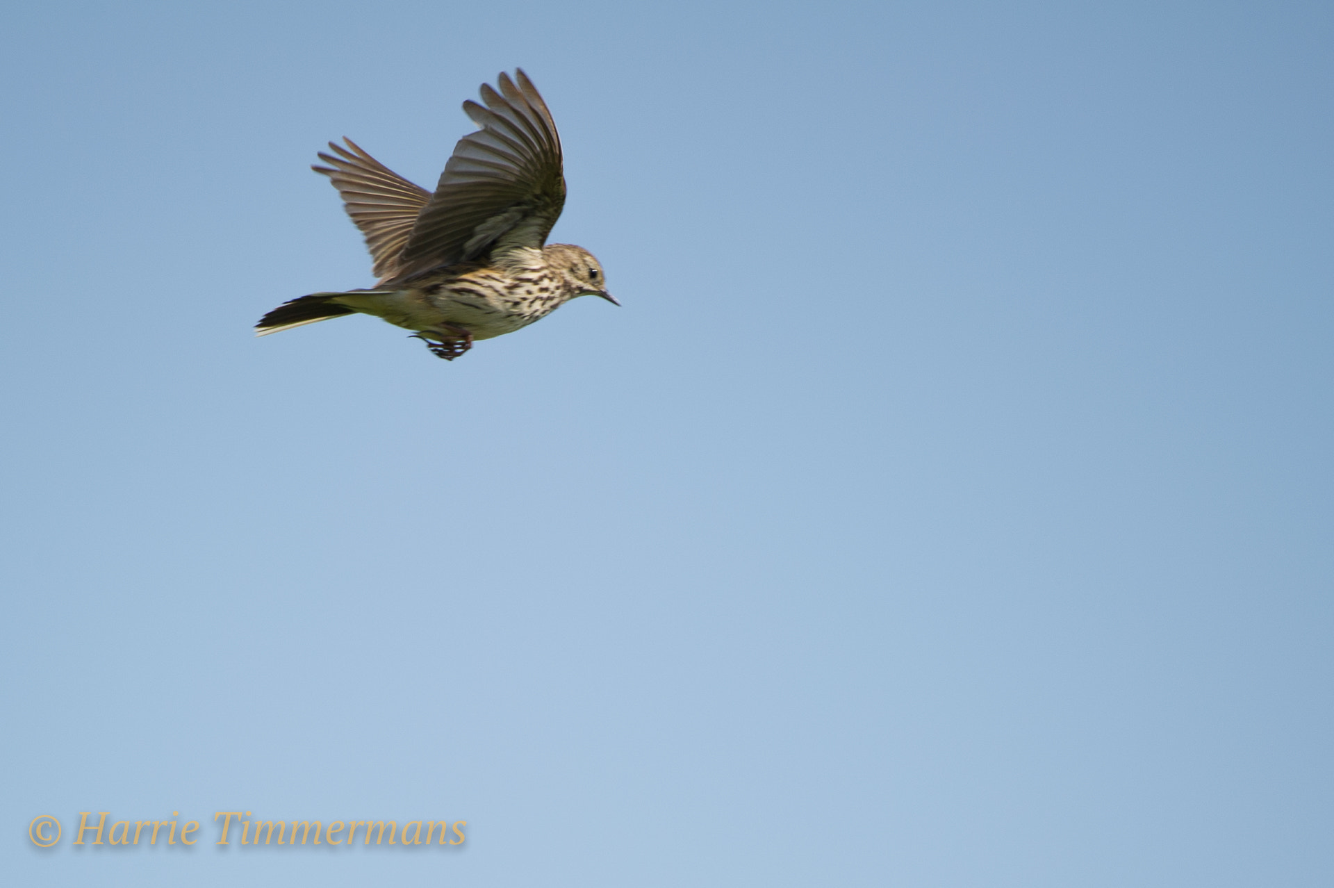 Nikon D3S sample photo. Hti_1631-2.jpg photography