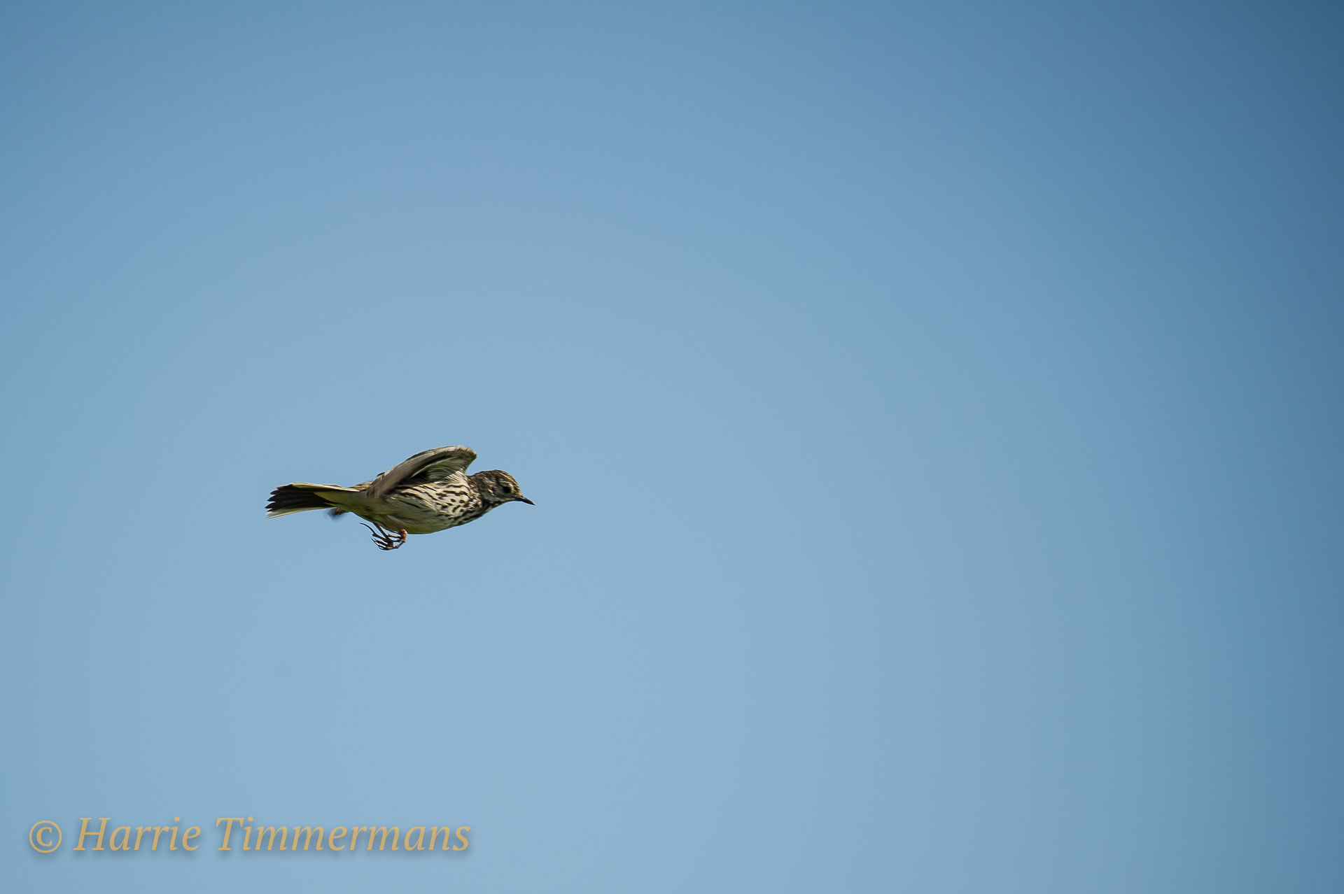 Nikon D3S sample photo. Hti_1632.jpg photography