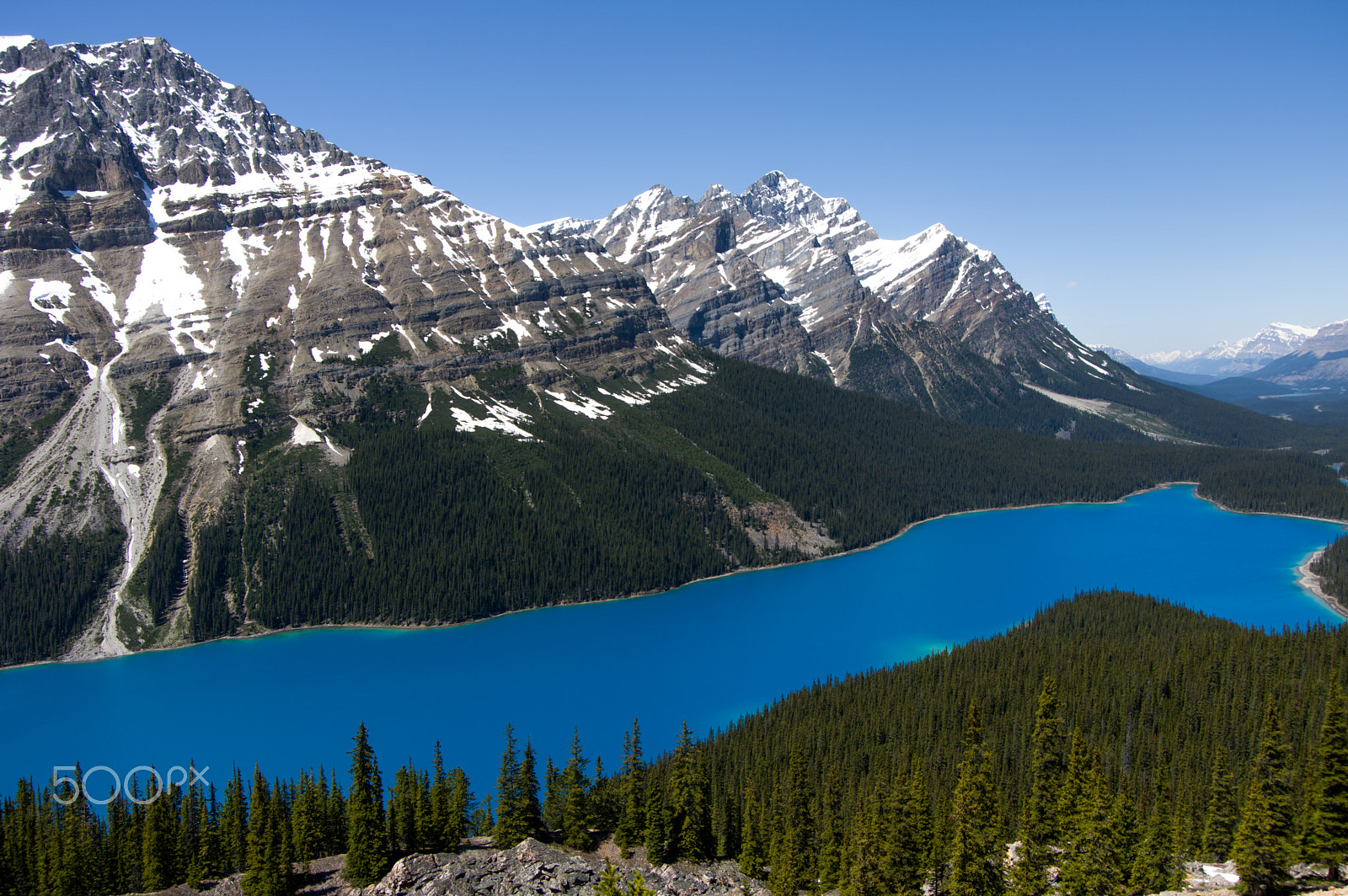 Pentax K-3 II sample photo. Peyto-lake photography