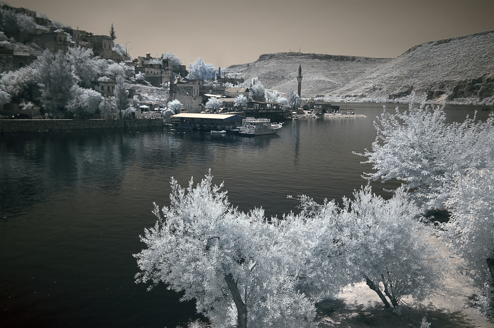 Nikon D70s sample photo. İnfrared photography