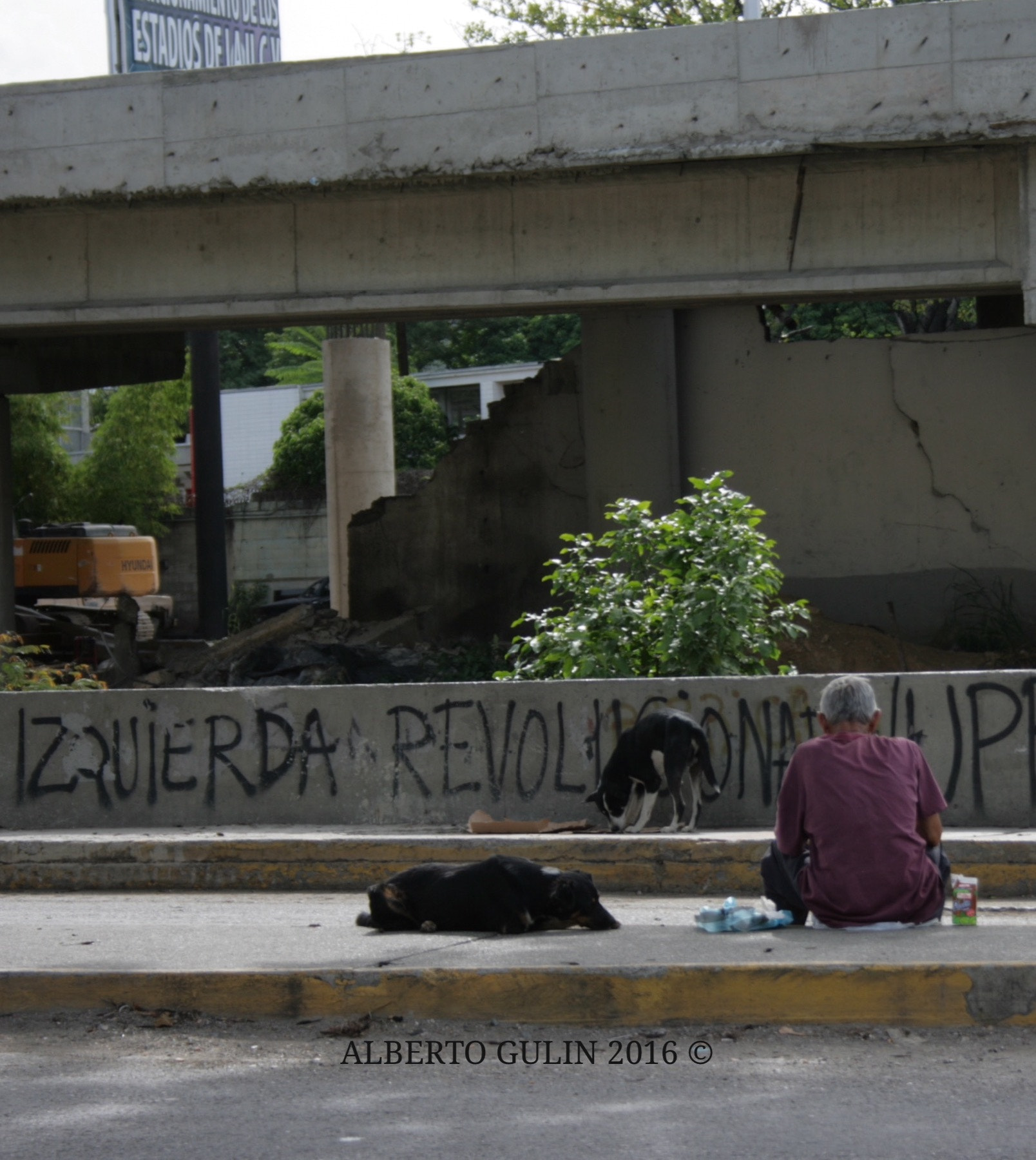 Canon EOS 400D (EOS Digital Rebel XTi / EOS Kiss Digital X) + Canon EF-S 18-55mm F3.5-5.6 sample photo. Caracas-venezuela | 2016 | a homeless and his dogs taking a break photography