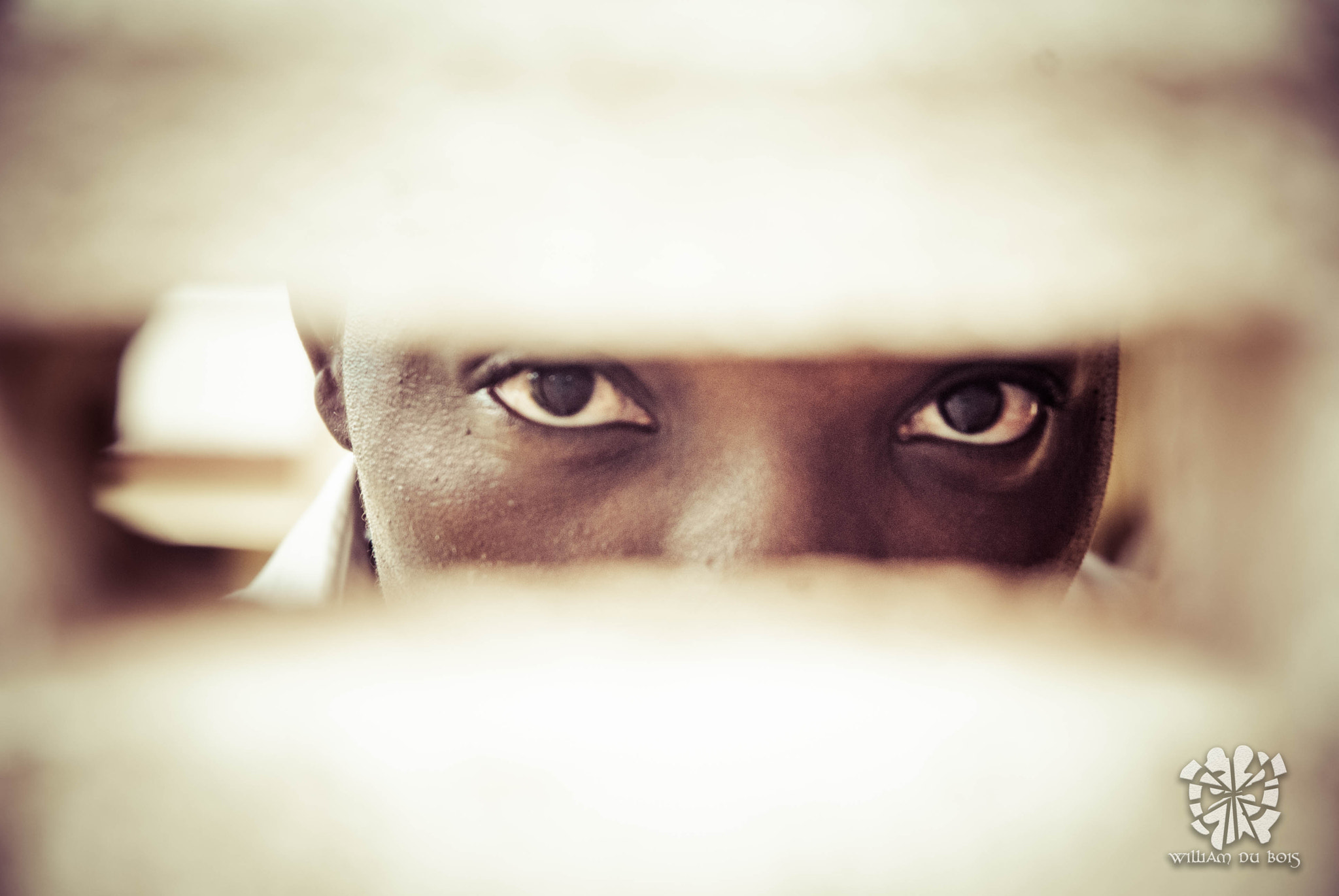 Nikon D40X sample photo. An eye for an eye photography