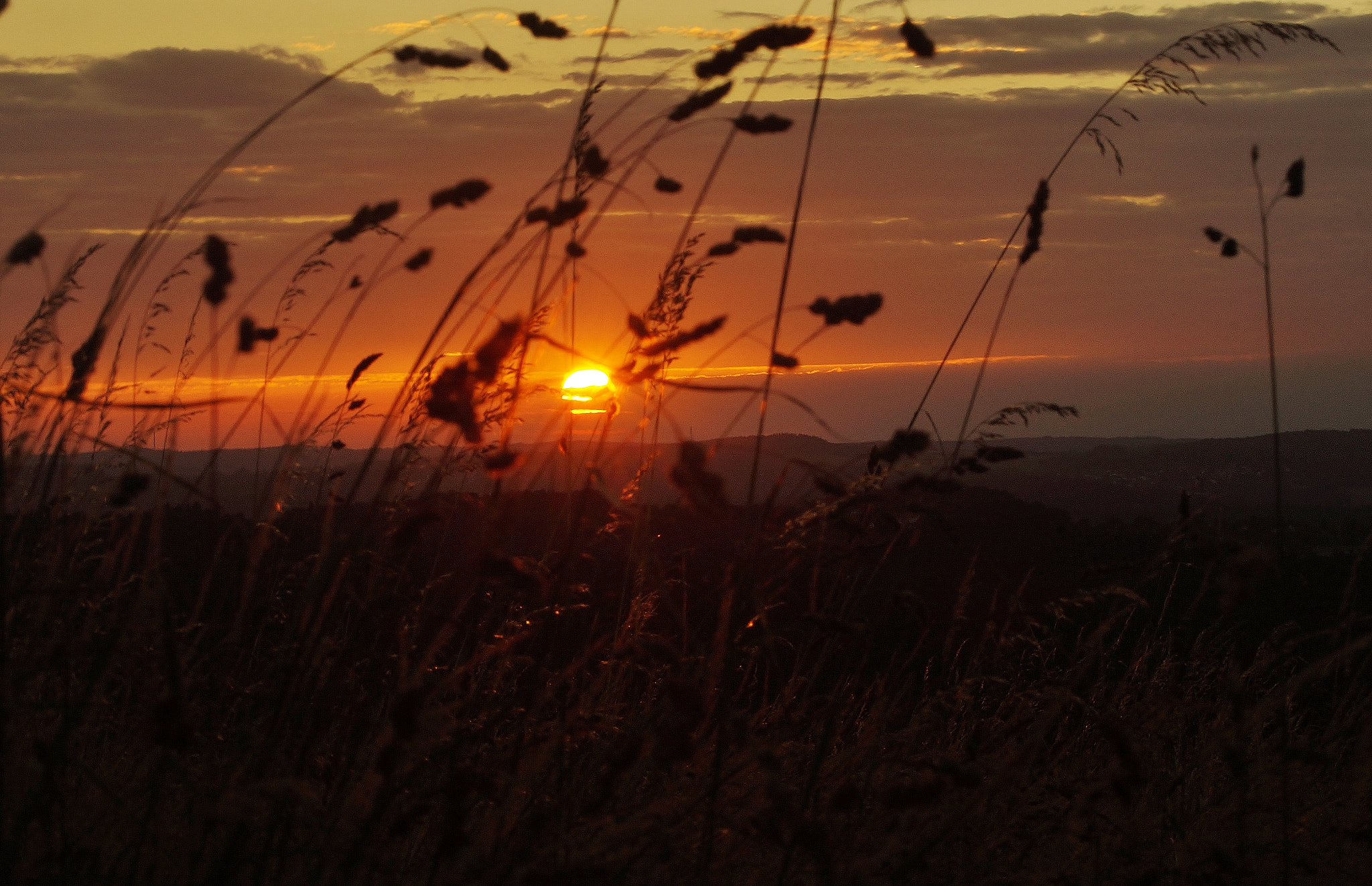 Sony SLT-A58 + Tamron Lens (129) sample photo. Windy sunset! photography