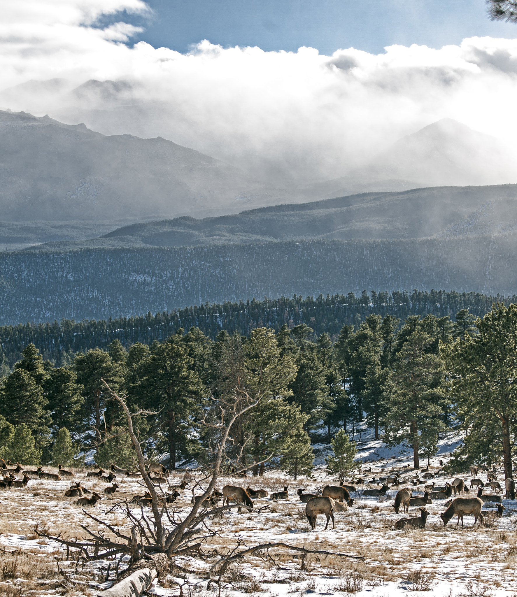 Canon EF 70-300mm F4-5.6 IS USM sample photo. Rocky mountains photography