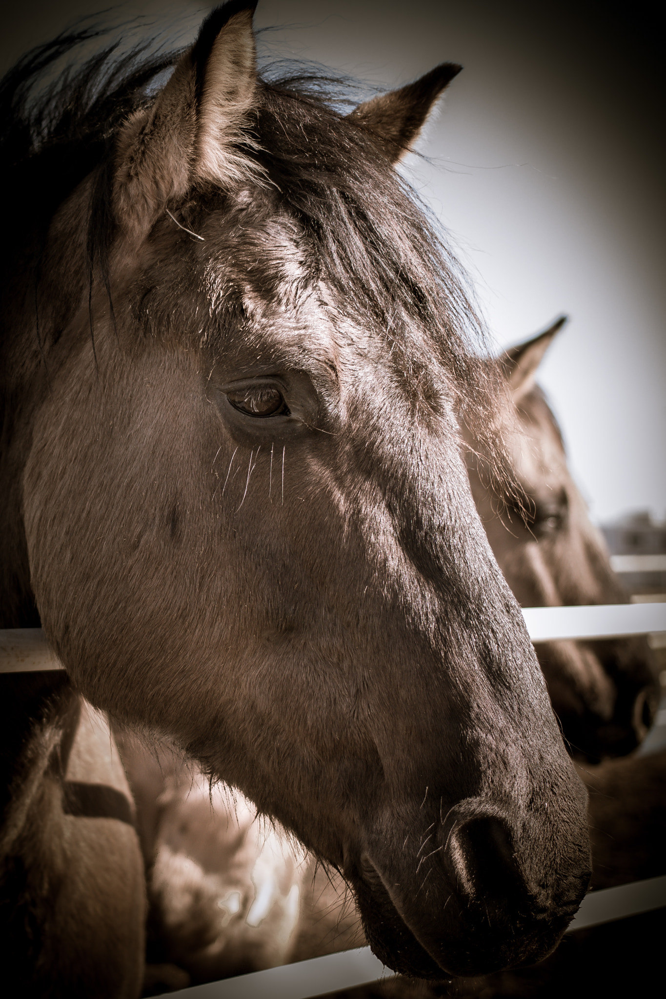 Canon EF 40mm F2.8 STM sample photo. Look at them lashes photography