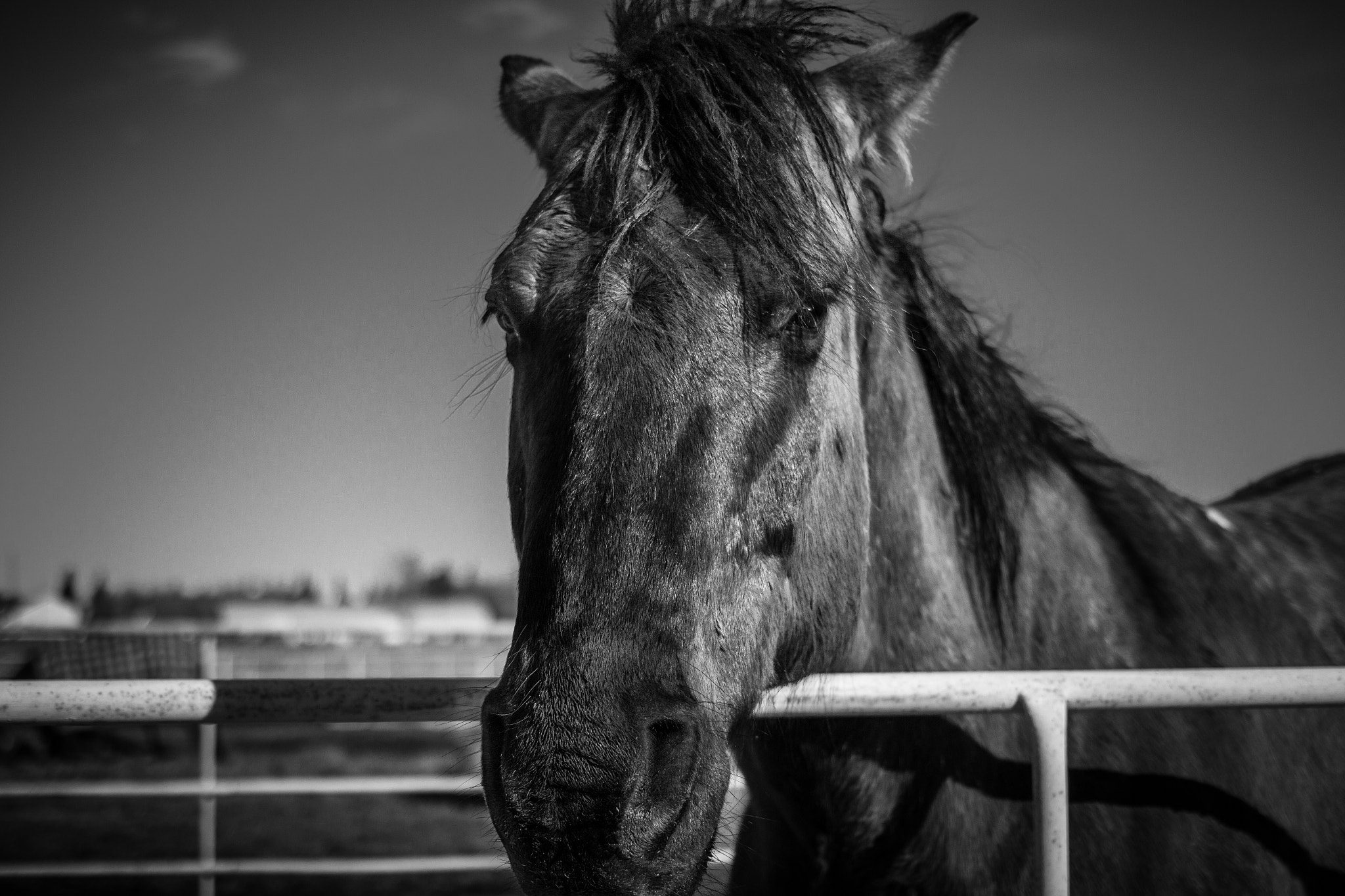 Canon EF 40mm F2.8 STM sample photo. Look at them lashes ii photography