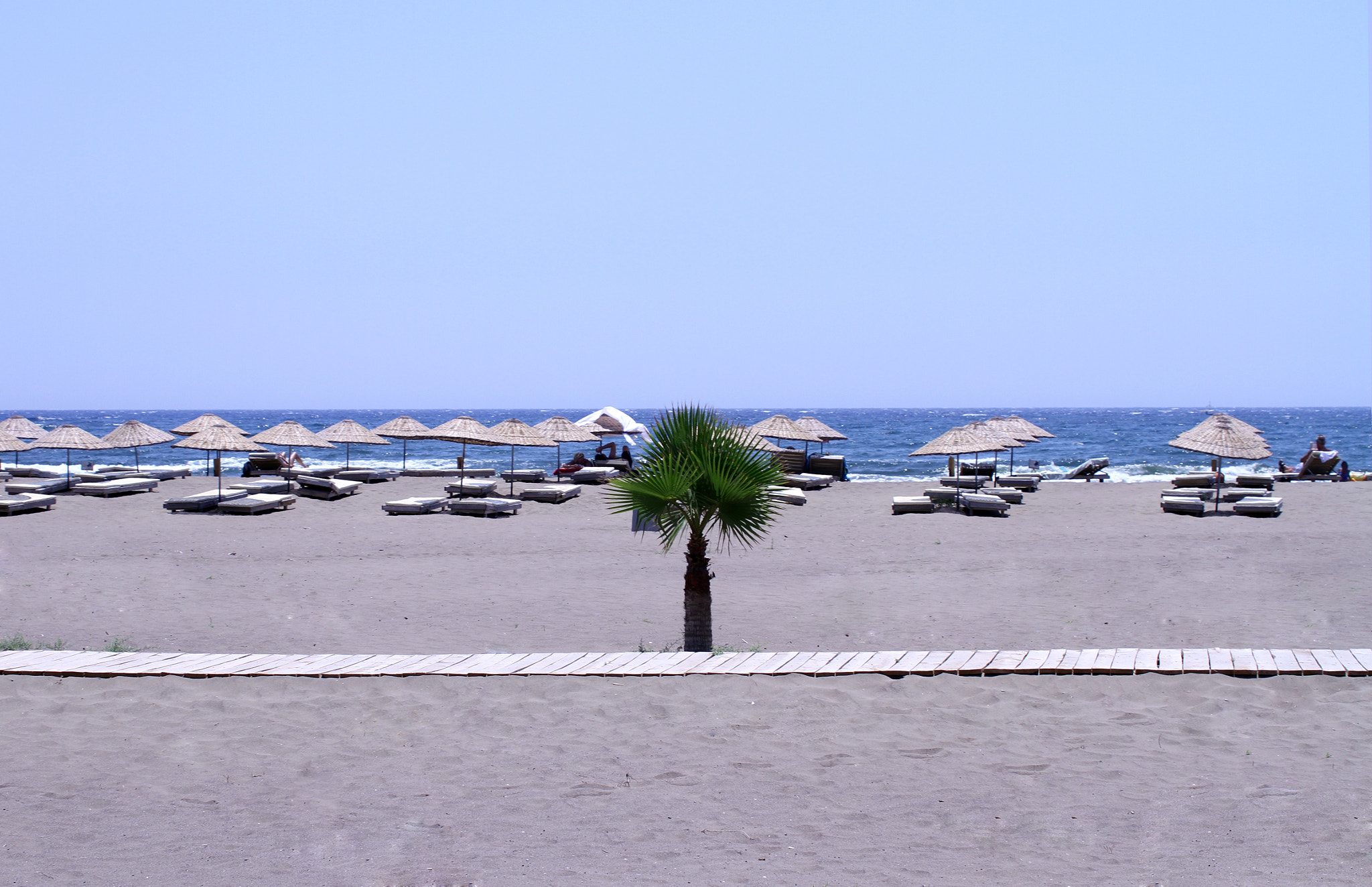 Sigma 50-500mm f/4-6.3 APO HSM EX sample photo. Turtle beach//turkey photography