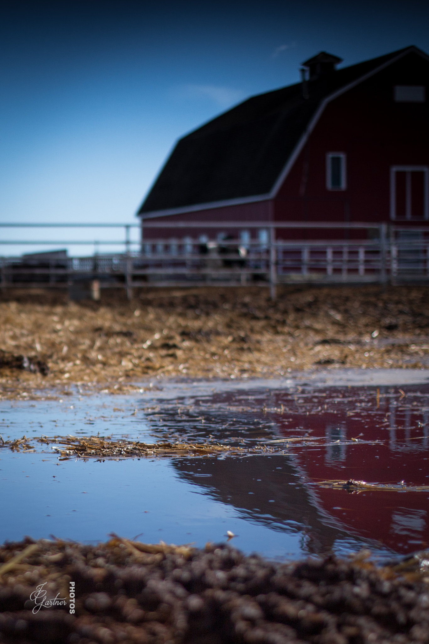 Canon EF 40mm F2.8 STM sample photo. Reflected barn photography