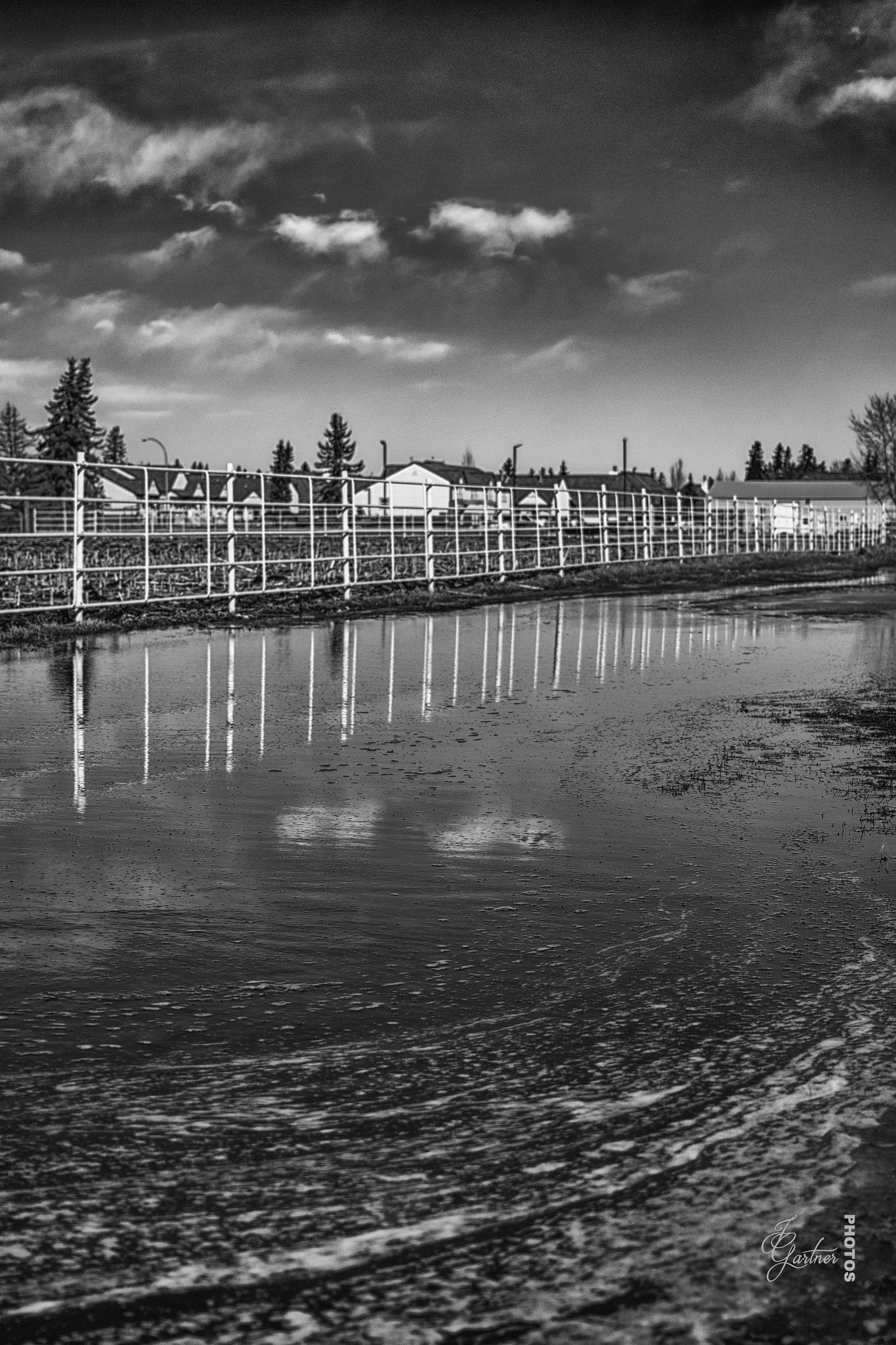 Canon EF 40mm F2.8 STM sample photo. Reflective puddle photography