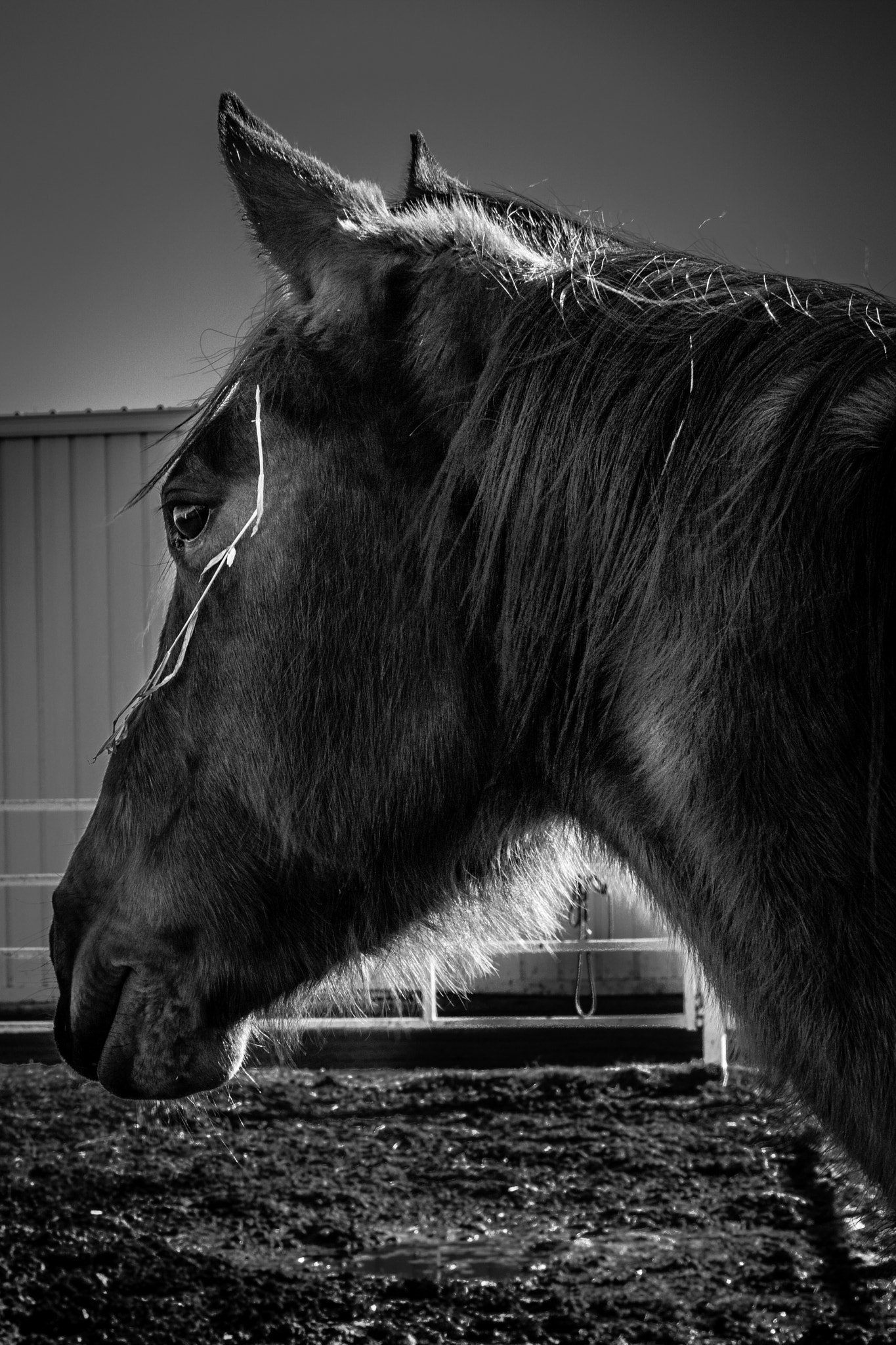 Canon EF 40mm F2.8 STM sample photo. What? photography