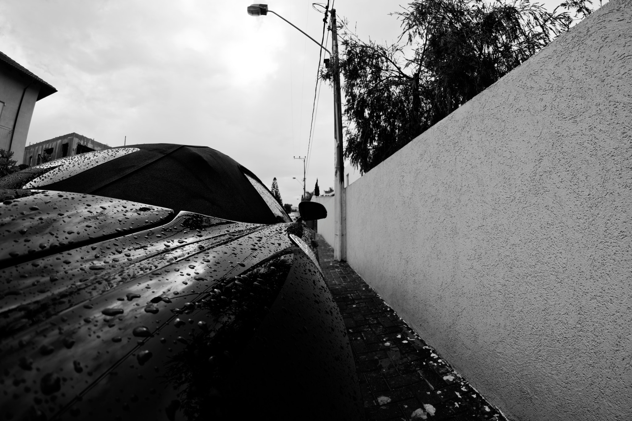 Samyang 8mm F3.5 Aspherical IF MC Fisheye sample photo. Sls photography