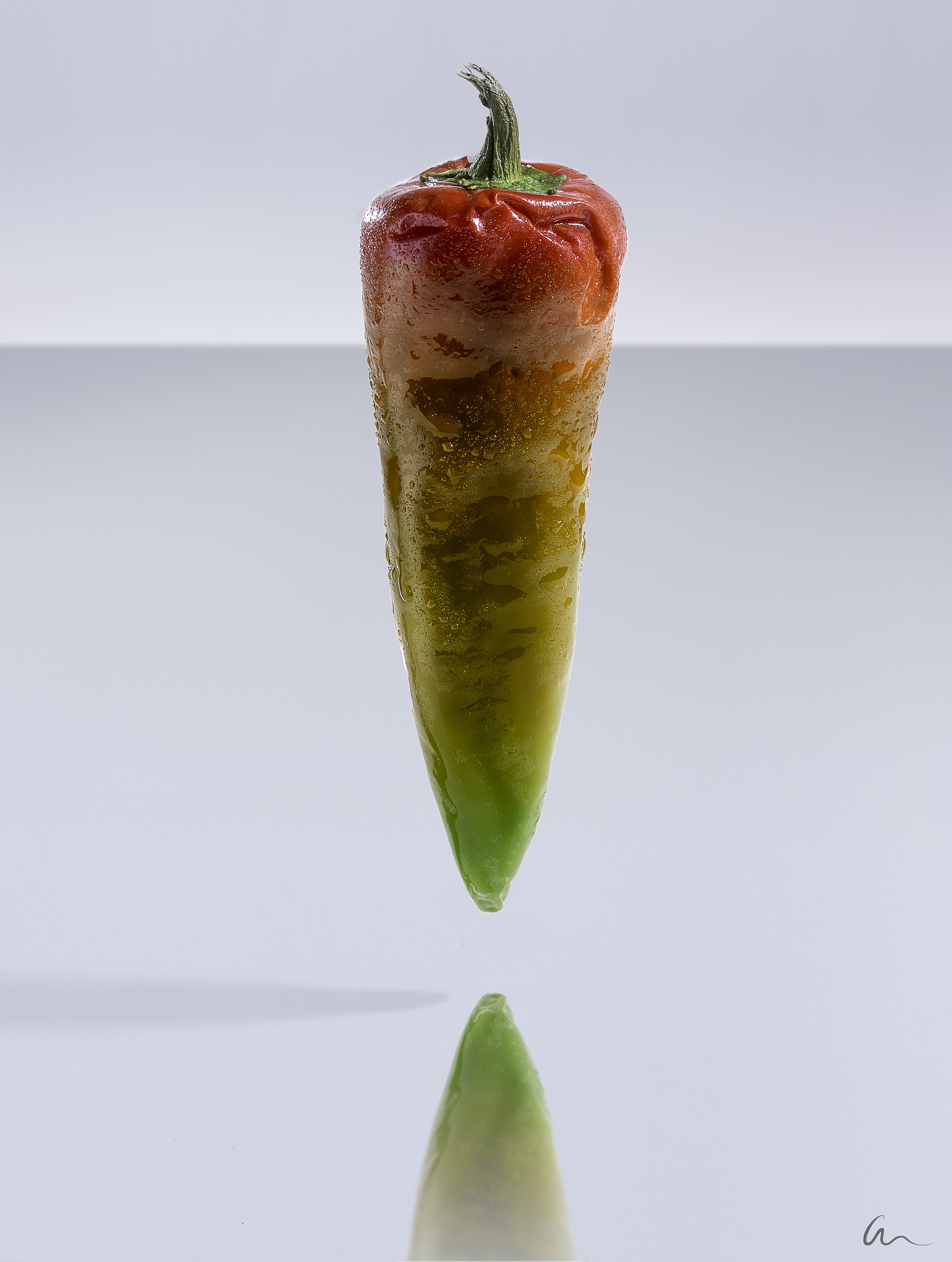 Canon EF-S 60mm F2.8 Macro USM sample photo. Scoville scale pepper photography