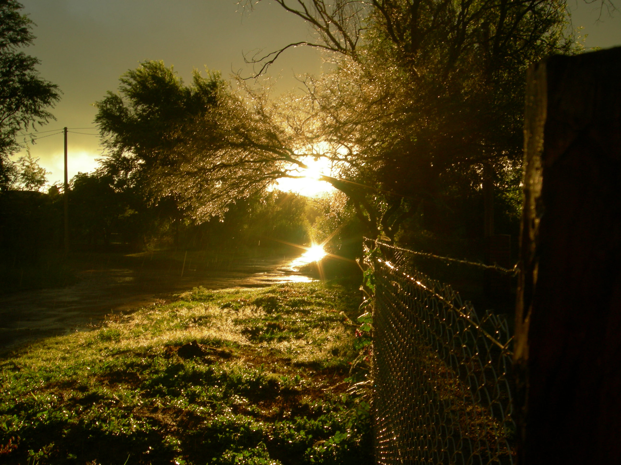 Nikon COOLPIX P1 sample photo. After the rain photography