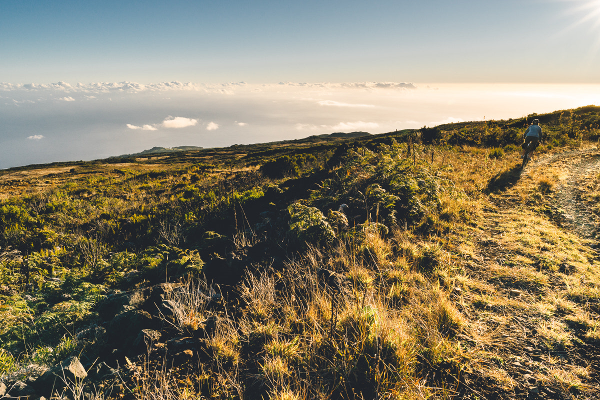 Sony a7 + ZEISS Batis 25mm F2 sample photo. Vavang la cot' oues réunion photography