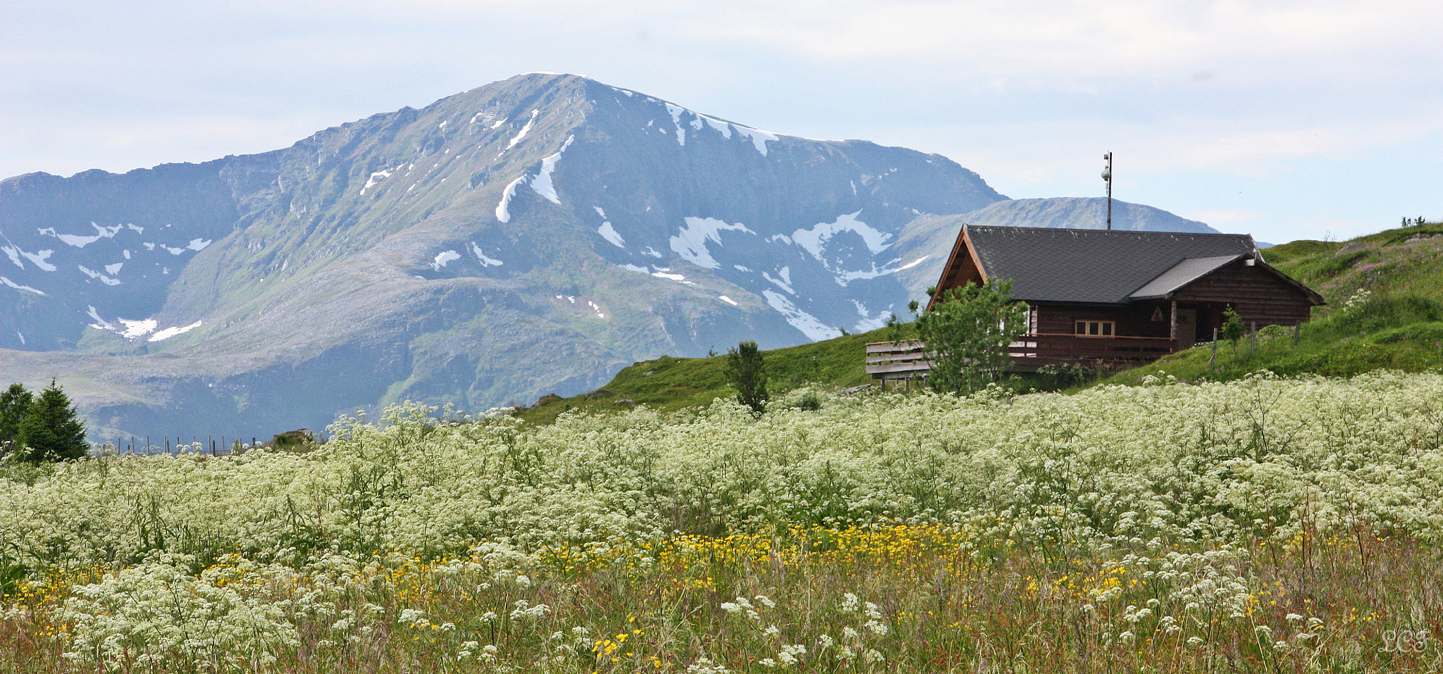 Canon EOS 450D (EOS Rebel XSi / EOS Kiss X2) sample photo. Cabin in the meadow...  photography