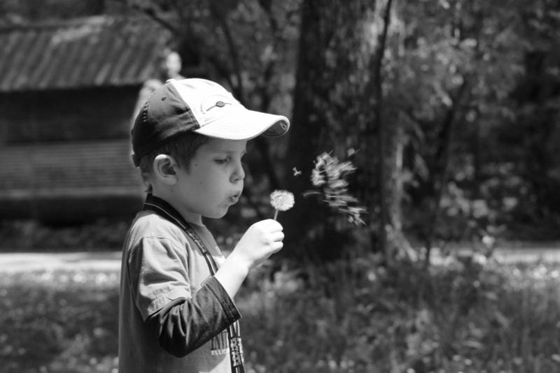 Sigma 70-300mm F4-5.6 APO DG Macro sample photo. Boy blows to dandelion photography