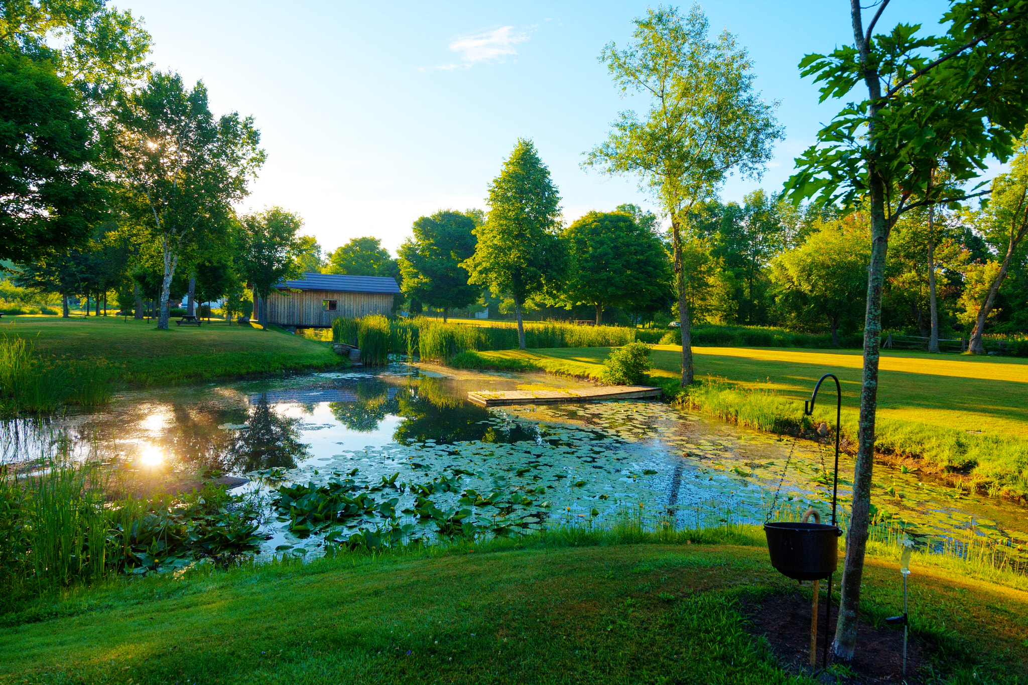Tokina AT-X 11-20mm F2.8 PRO DX sample photo. Morning at the backyard pond photography