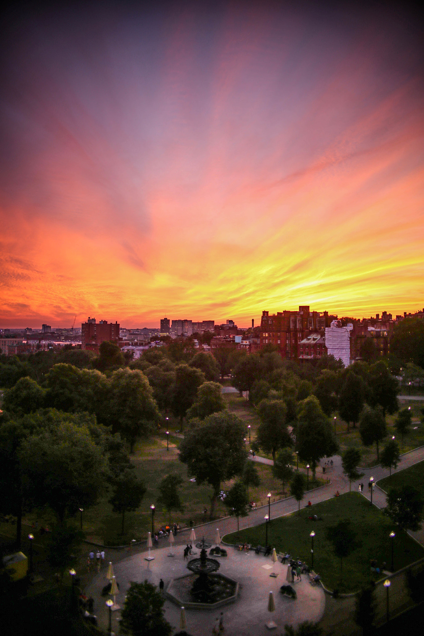 Sigma 30mm F1.4 EX DC HSM sample photo. Above boston common photography