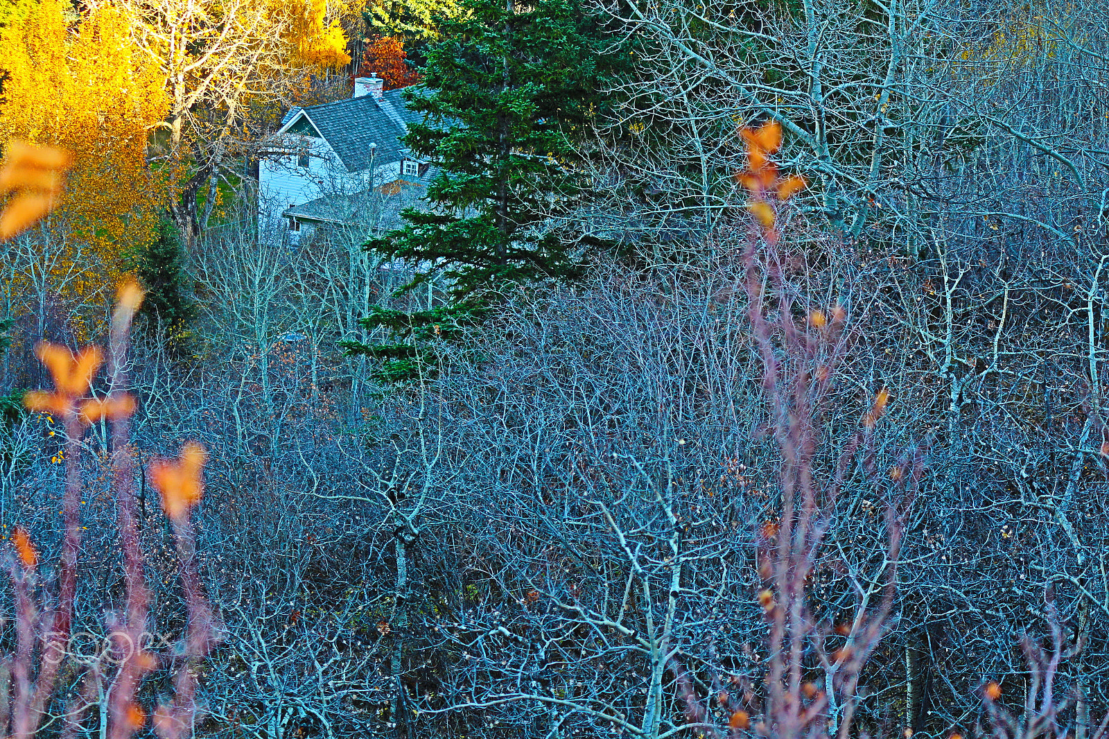 Canon EOS 650D (EOS Rebel T4i / EOS Kiss X6i) sample photo. Lookout point photography